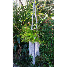 Freya Plant Hanger