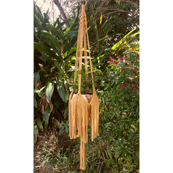 Freya Plant Hanger