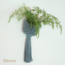 Holly Hanging Macrame Planter