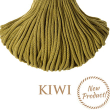 Holly Hanging Macrame Planter