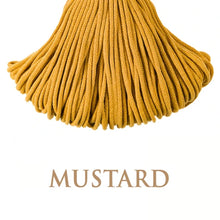 Holly Hanging Macrame Planter