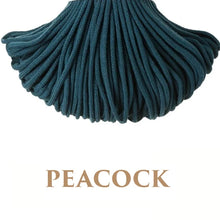 Holly Hanging Macrame Planter