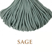 Holly Hanging Macrame Planter