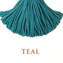 Holly Hanging Macrame Planter