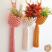 Holly Hanging Macrame Planter