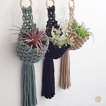 Holly Hanging Macrame Planter