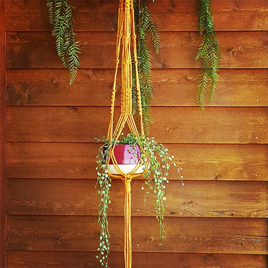 DIY Macrame Kit - Ivy Beginner Plant Hanger