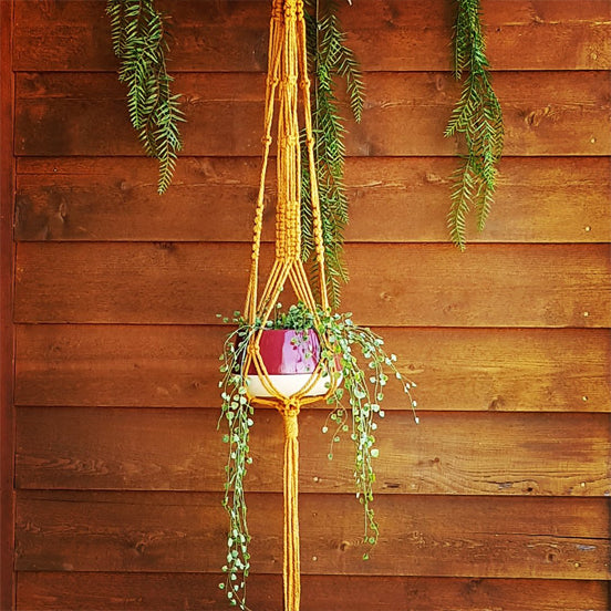 DIY Macrame Kit - Ivy Beginner Plant Hanger