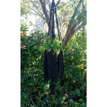 DIY Macrame Kit - Freya Plant Hanger