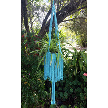 DIY Macrame Kit - Freya Plant Hanger