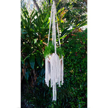 DIY Macrame Kit - Freya Plant Hanger