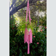 DIY Macrame Kit - Freya Plant Hanger
