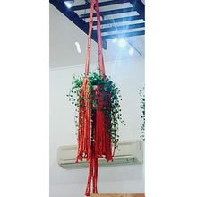 DIY Macrame Kit - Freya Plant Hanger
