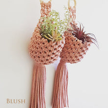 Holly Hanging Macrame Planter