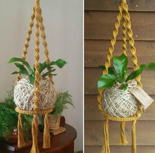 DIY Macrame Kit - Koke Kokedama Hanger