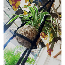 DIY Macrame Kit - Koke Kokedama Hanger